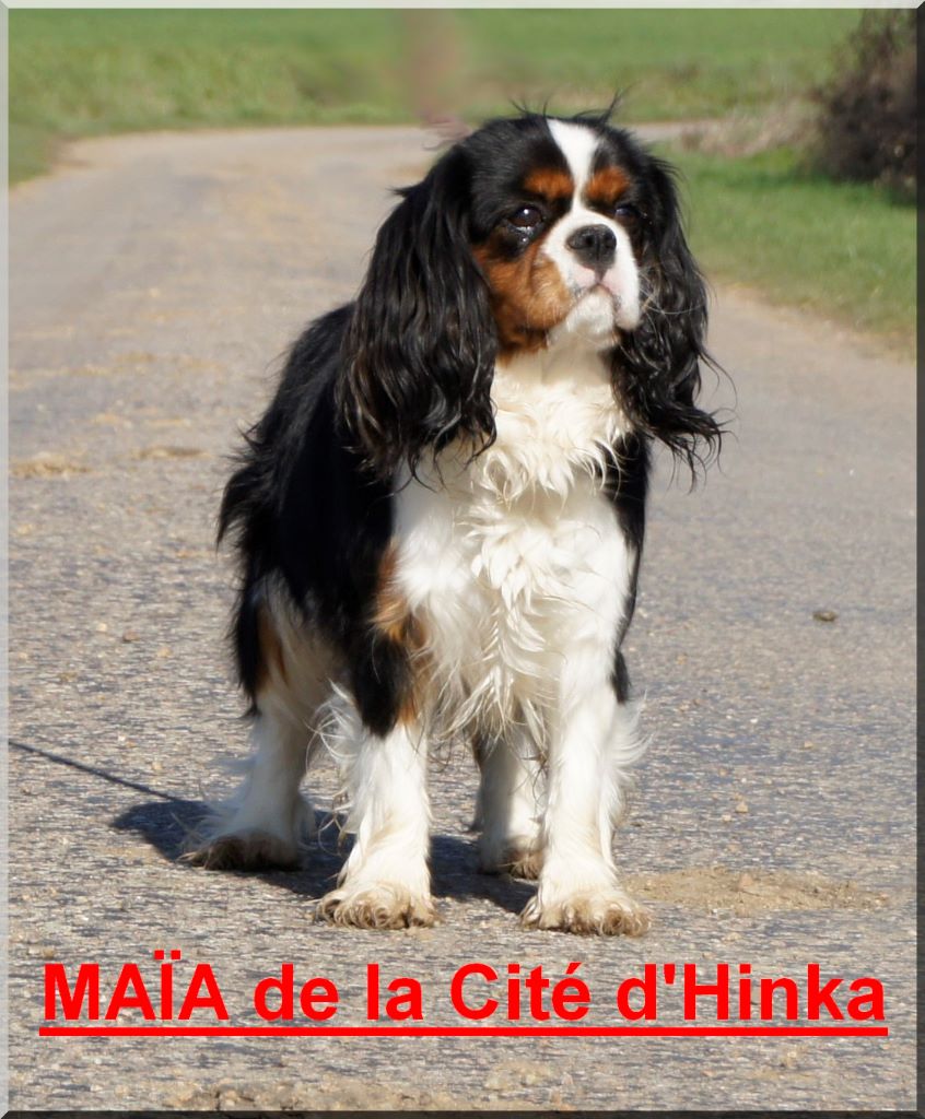 Maia de la Cité d'Hinka