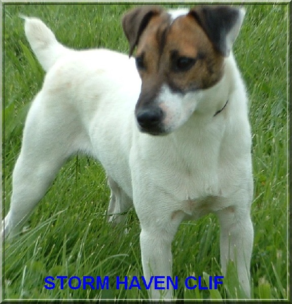 Storm haven Clif
